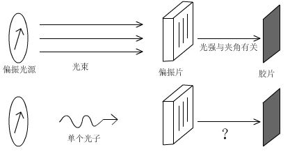 观测光子的偏振态